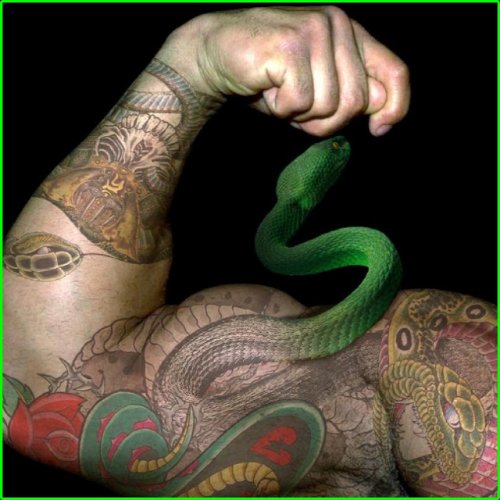 Optical Illusion Snake Tattoo On Muscles